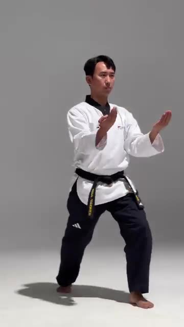 Taekwondo