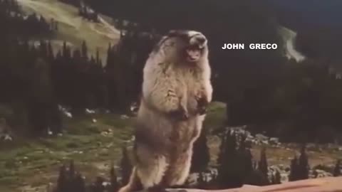 ΑΝΗΚΟΥΜΕ ΕΙΣ ΤΗΝ ΔΥΣΗΝ.... Εεεεε ???🤮