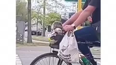 Самое милое видео😍