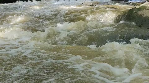 Beautiful Waterfall / Relaxing Nature