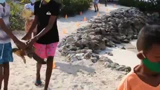 Intercambio sostenible en el archipiélago de San Bernardo [Video]