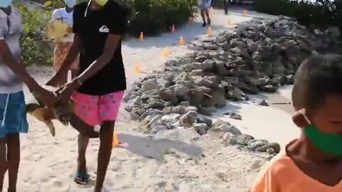 Intercambio sostenible en el archipiélago de San Bernardo [Video]