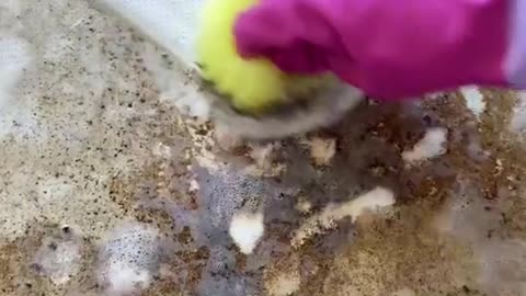 amazing cleaning