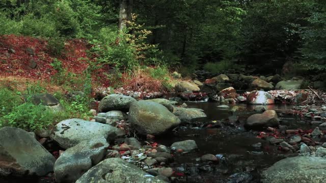 Beautiful nature and Scenic Landscapes