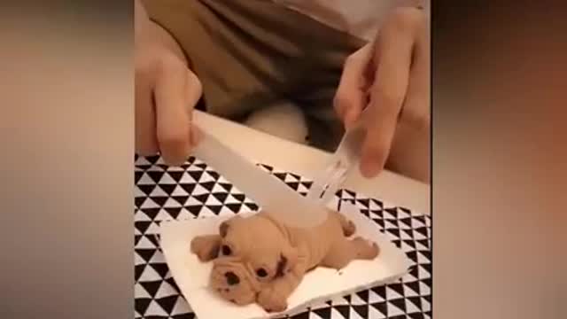 Funny dog reactions to dog cake