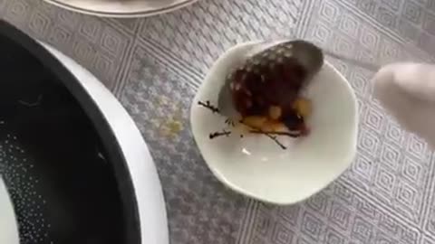 ‏Cat can cook LOL
