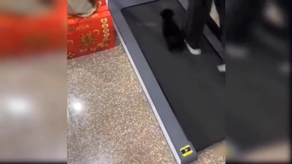 Baby Cat workout