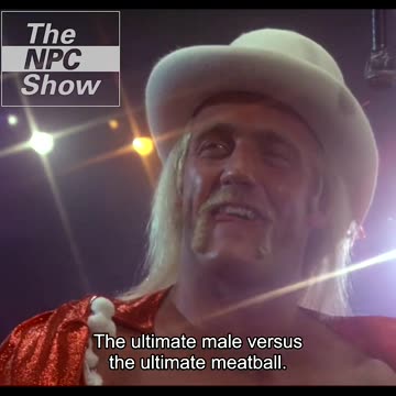 Hulk Hogan vs Ron Meatball DeSantis