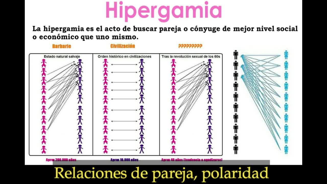 ¿Mujeres interesadas ? 💰 💲 Hipergamia 💲💵💍 - Jordan Peterson