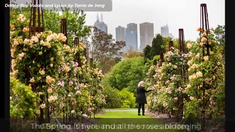 Danny Boy: Victoria’s Prayer – time to go Daniel Andrews