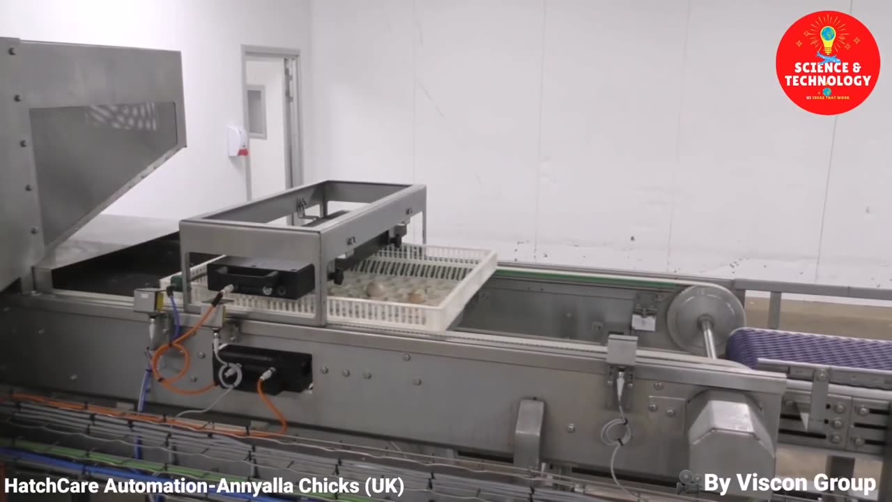 AMAZING FULL PROCESS OF MODERN HIGH-TECH CHICKS HATCHERY, MODERN POULTRY HATCHERY TECHNOLOGY-FARMING