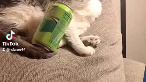 She did the dew