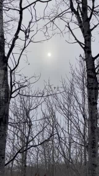 Light snow starting. Bring it!