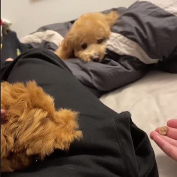 Today's mime: "Be Careful"