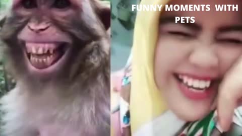 Funny animals video...funny moments with pets