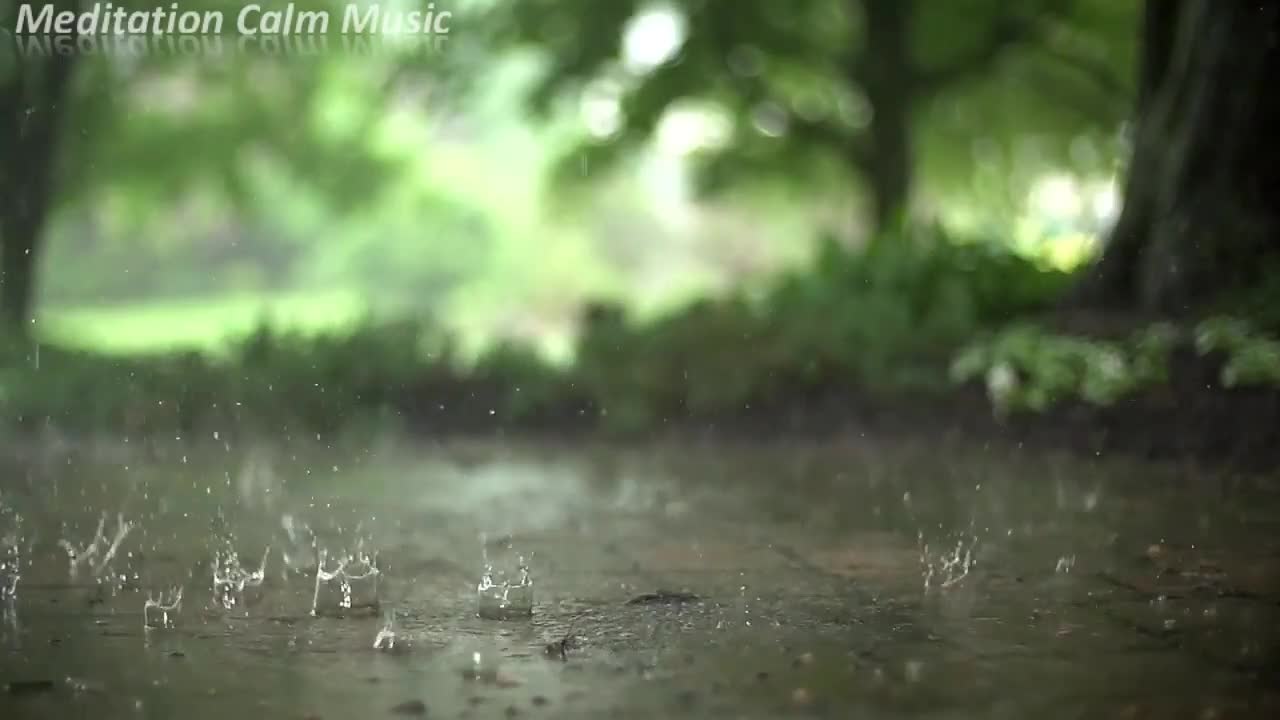 Nature Sounds | Rain Sounds | Thunder | Sleep | Meditation | Meditation Calm Music