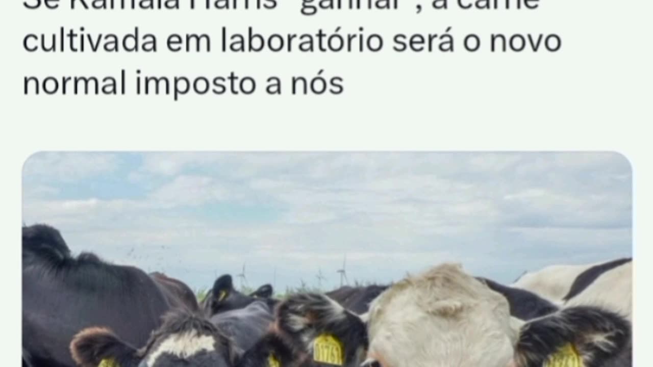 A OMG 🚨 Farmers na Dinamarca agora pagará um IMPOSTO DE CARBONO de $ 100 por vaca.