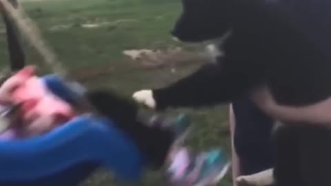 Puppy playing with the child.