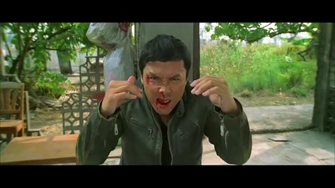 Best Donnie yen fight sence