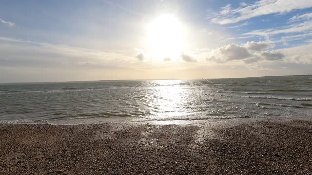 Sounds at a beach and wildlife.