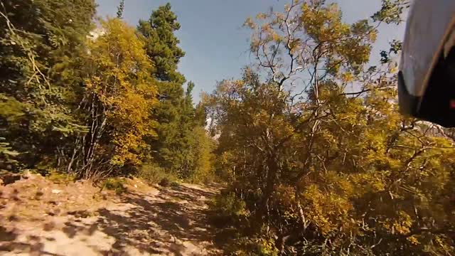Trail riding Red Mountain near Lake Tutshi, BC
