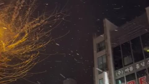 night Snowfall