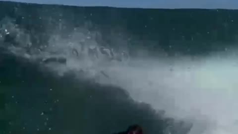 sea ​​surfing