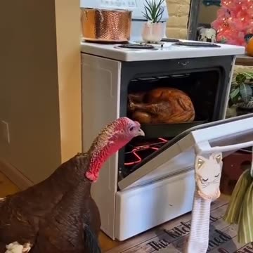 Hot News wishes everyone a happy Thanksgiving