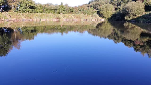 Local pond