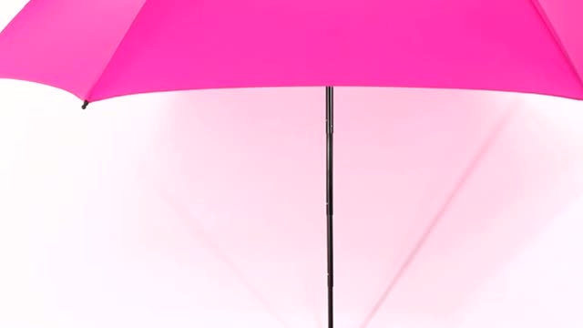 Umbrella