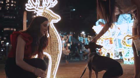 women feeding a puppy in a Christmas park at night