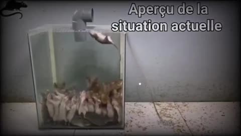 Italiani, cerchiamo di non fare tutti questa fine...