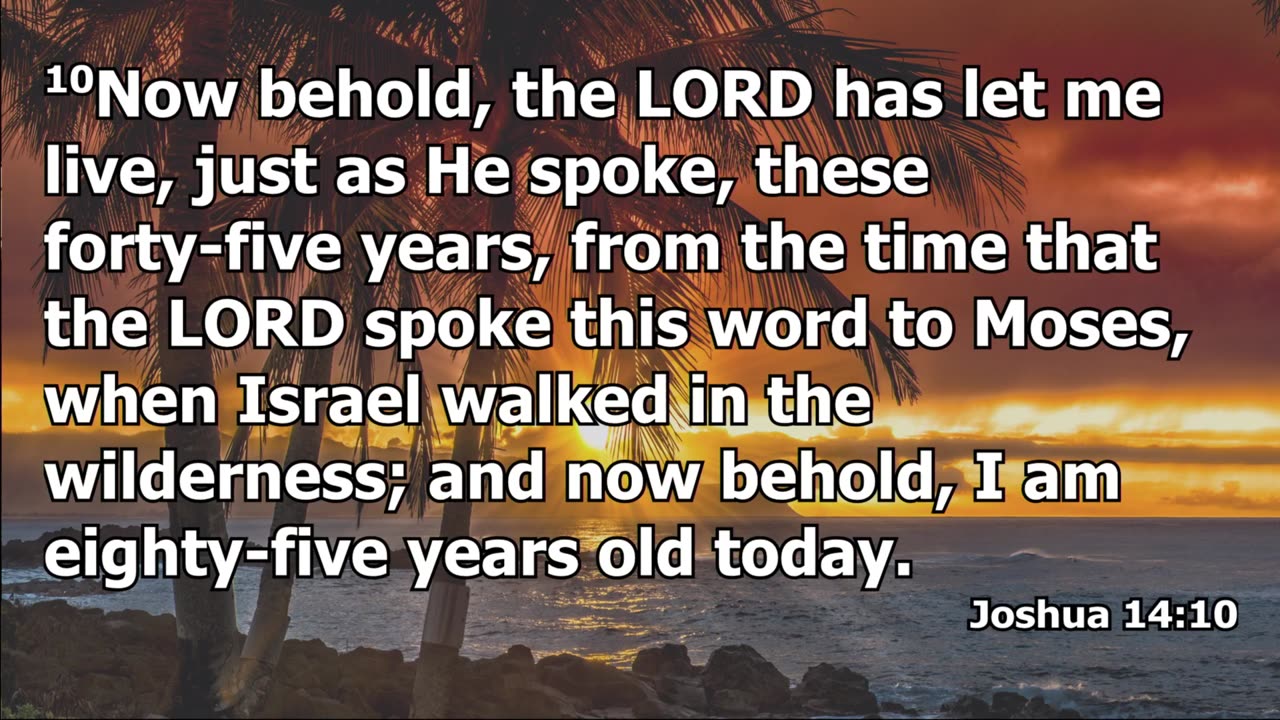 Calvary Chapel Honolulu Live Stream
