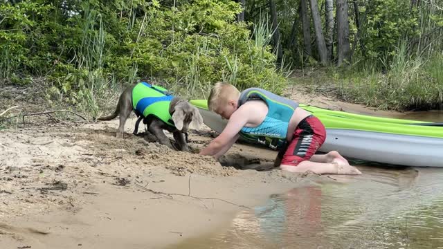 A Boy and His Dog Bond at the Beach