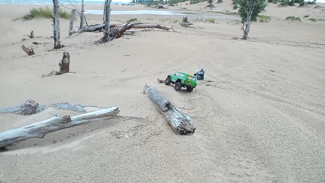 Scout II on the dunes