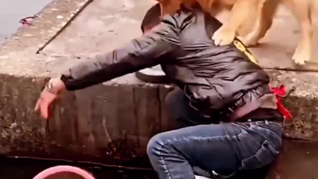 Humanity