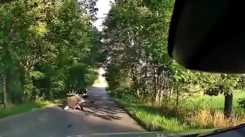 This is how it's like when driving In Poland