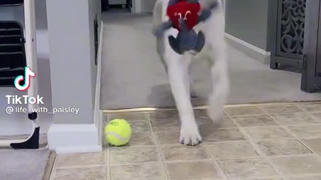 Playtime with Mommy is so much fun