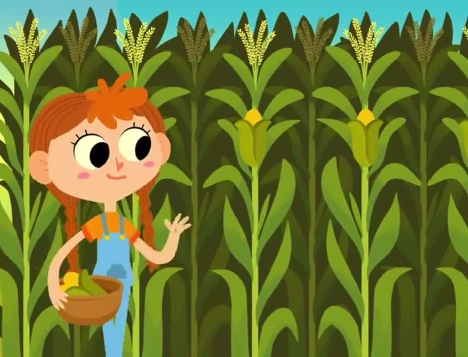 Animal Song