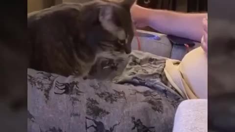 Hot sexy funny memes-Dark memes