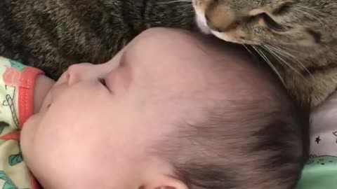 Cat instead of mom