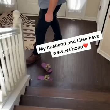 Kitten loves her dad