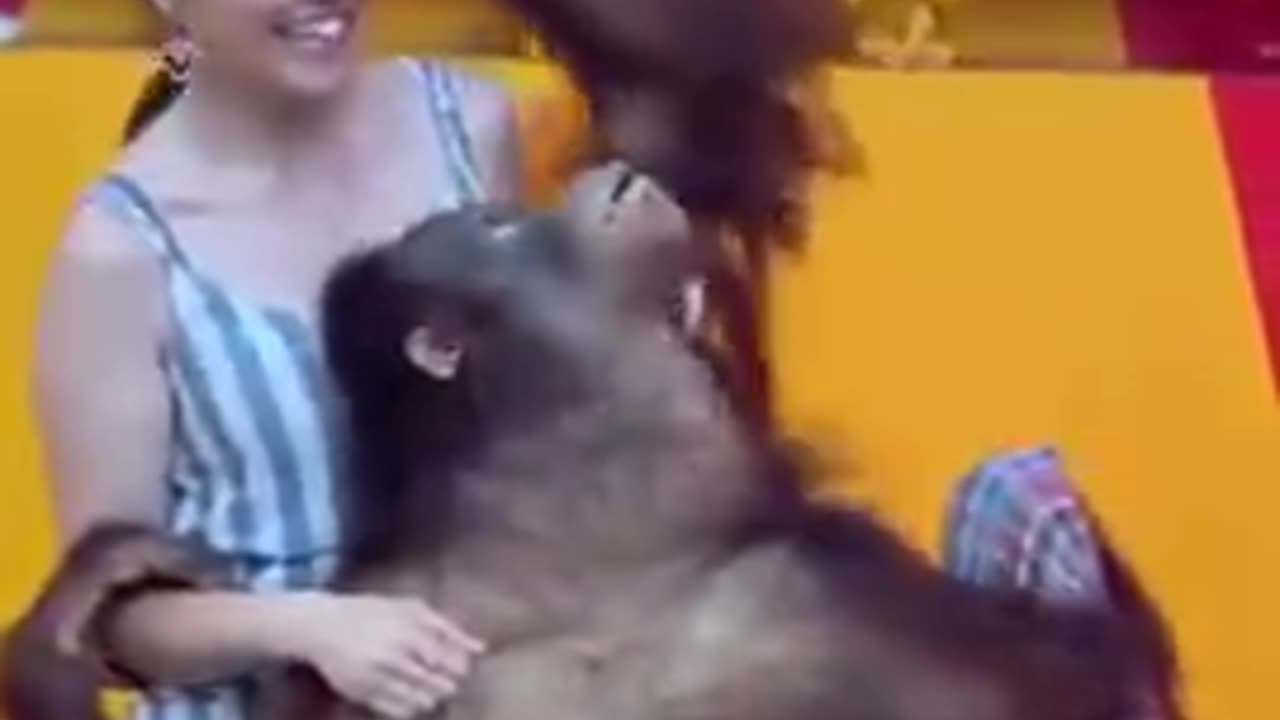 Monkey Shines