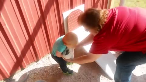 very funny video with children and animals #3