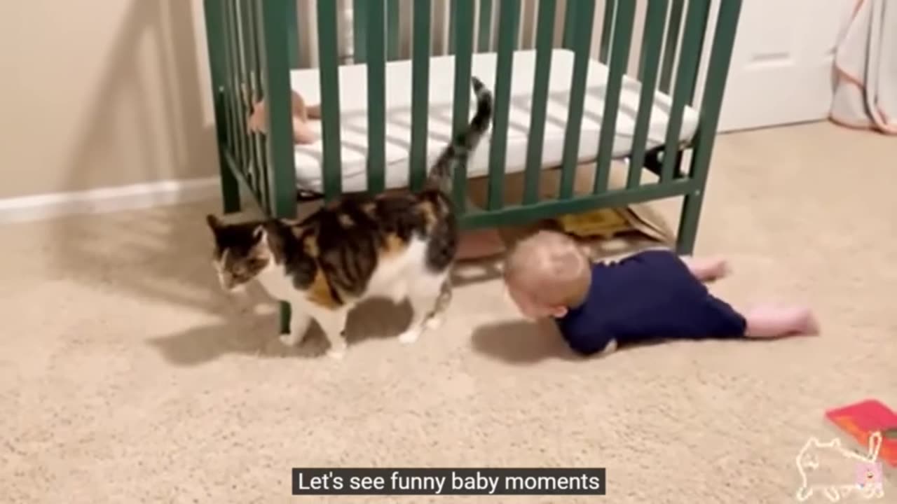 cute babies and pet