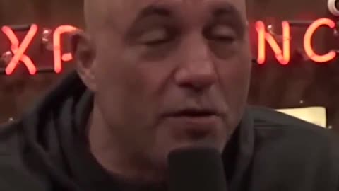 joe rogan and Satguru