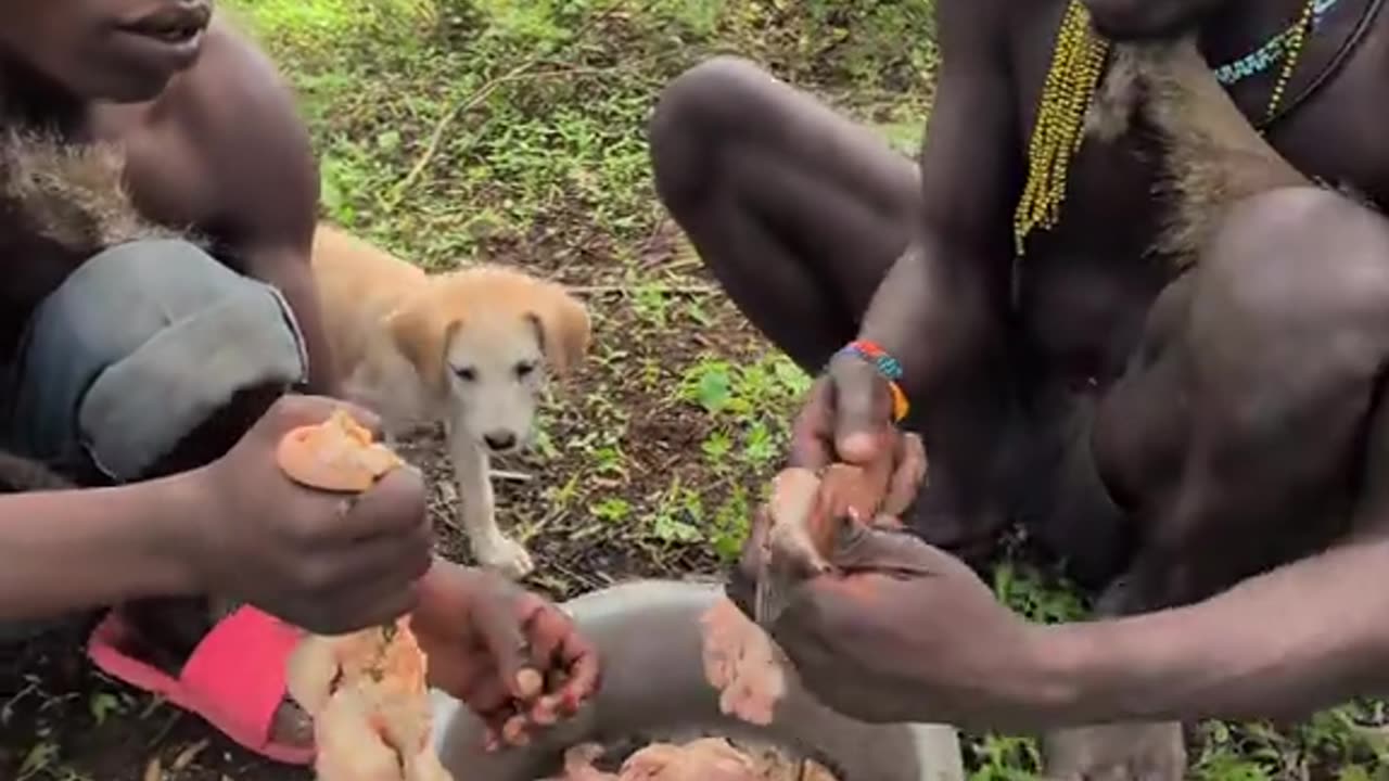 It's cokie luch😋 enjoy handza meal, so delecius food hun'ts