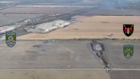 The forest near Novoselidovka, Donetsk region, is being cleared. The combat