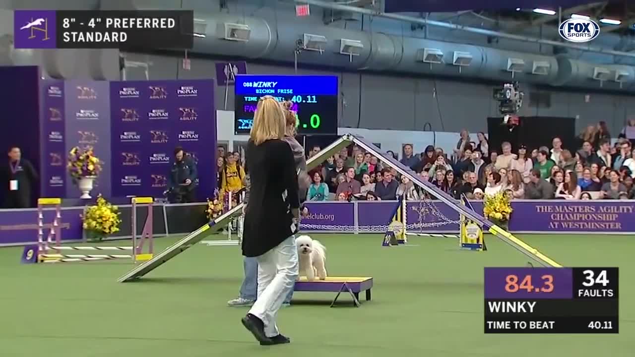 Watch 5 of the best WKC Dog Show moments to celebrate National Puppy Day | FOX SPORTS