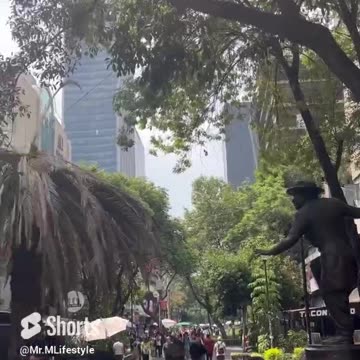 In Roma Norte, Mexico City